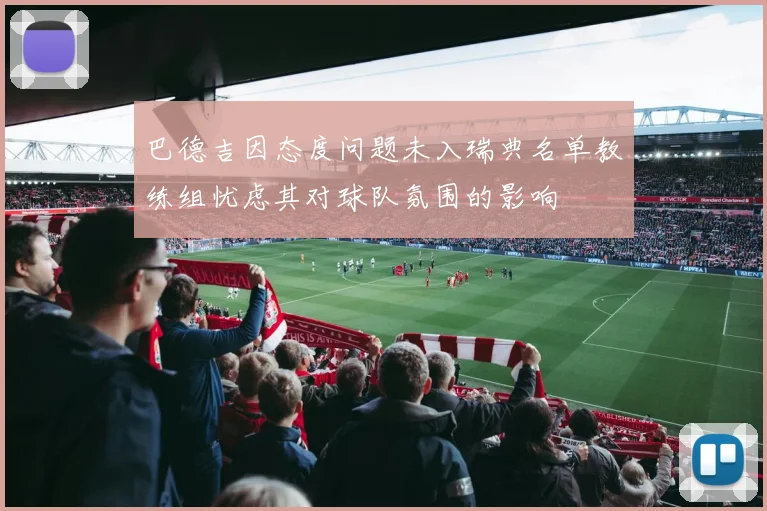 巴德吉因态度问题未入瑞典名单教练组忧虑其对球队氛围的影响